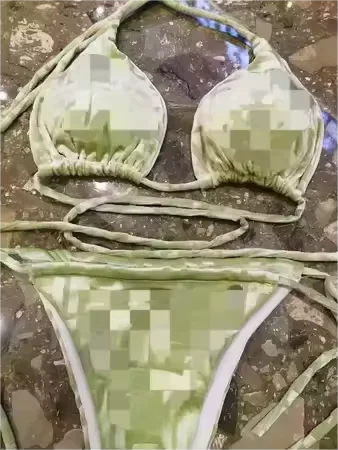 Customized Brand Swimsuit Designer Designs Sexy Women's Bikini Triangle Top
