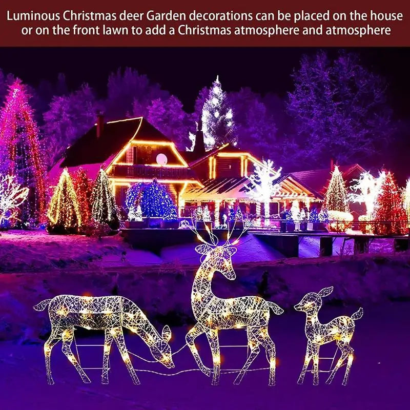 Lighted Christmas Deer Reindeer Family With Led Lights