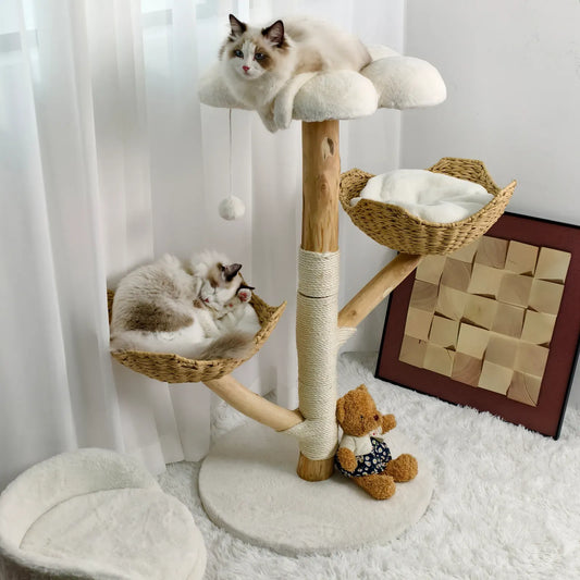 Katzenbaum aus Echtholz in Naturholz für Hauskatzen bis 10 kg, 60x111cm