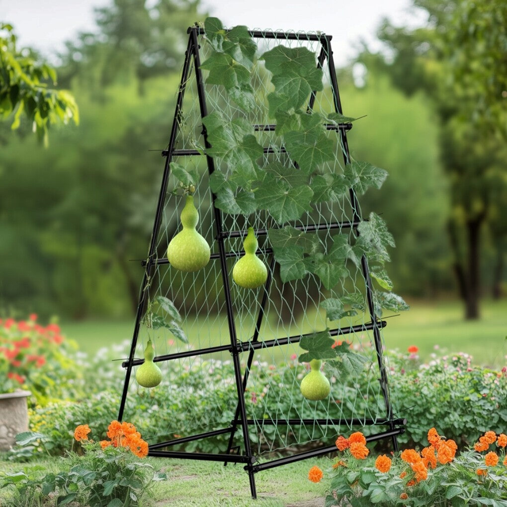 FIN Metal Garden Trellis Arch Climbing Plants Grow Support Frame with Ground Spikes