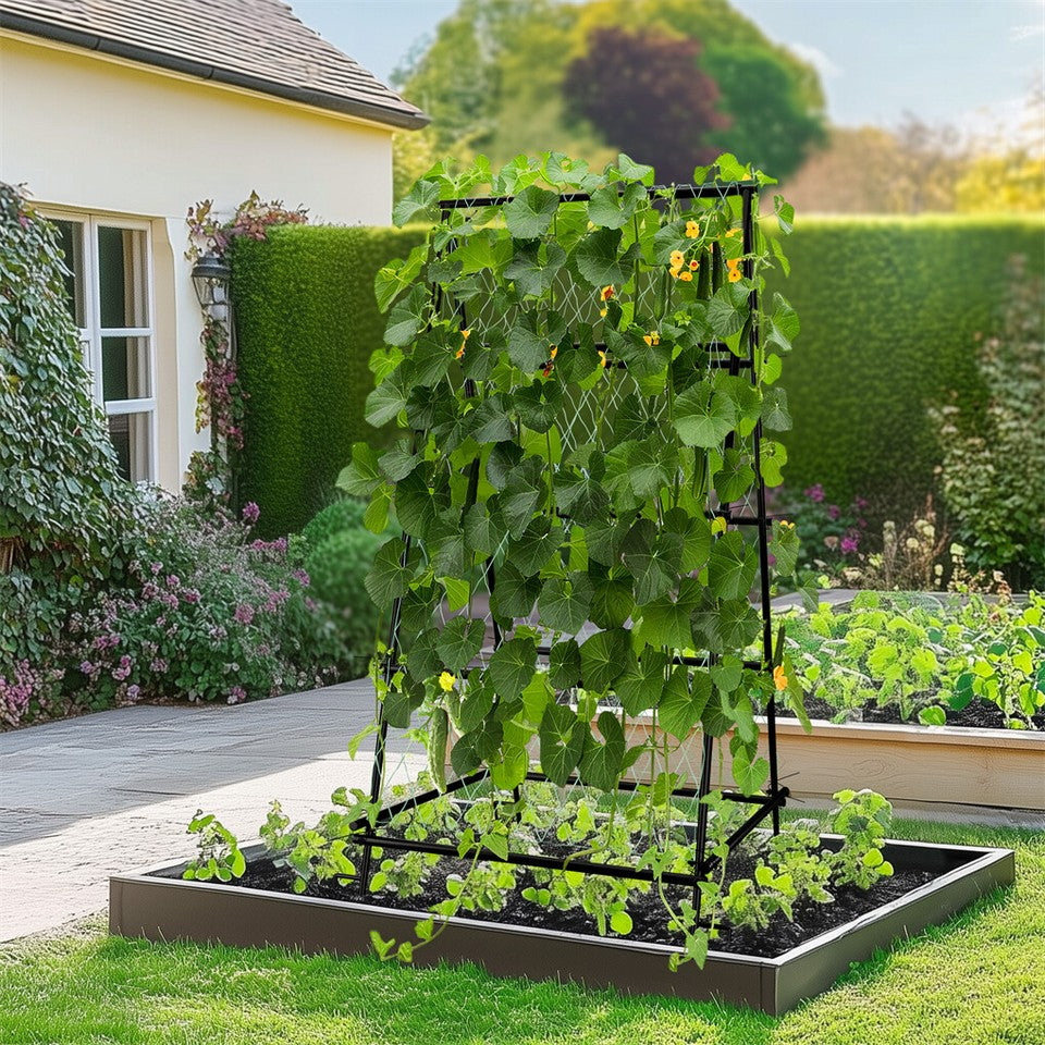 FIN Metal Garden Trellis Arch Climbing Plants Grow Support Frame with Ground Spikes
